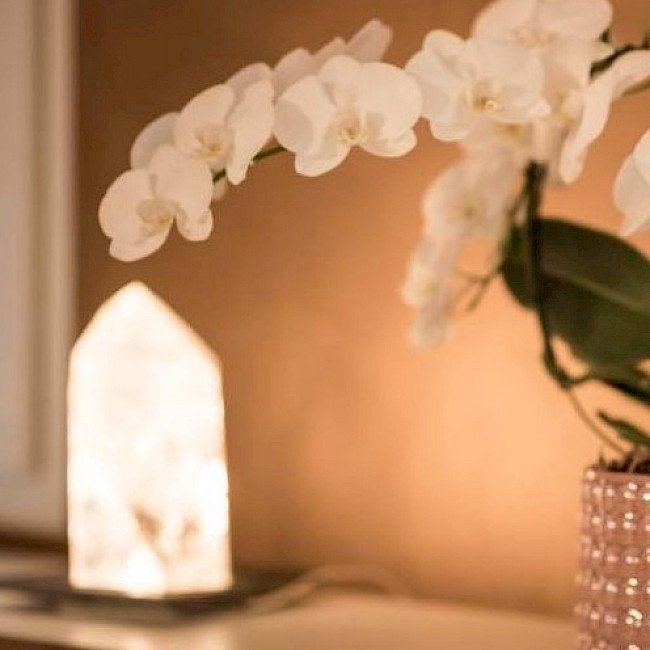 bergkristall_orchidee_1-1.jpg->description