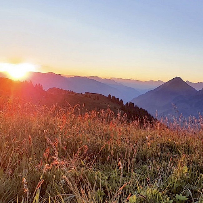 image.jpeg->description